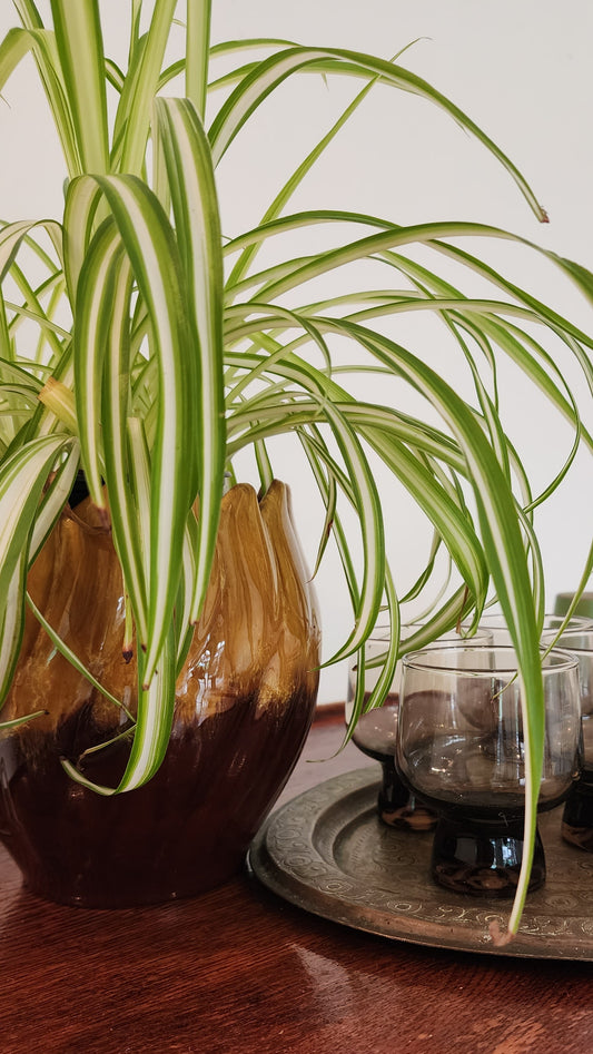 Blue Mountain Pottery (BMP) Planter