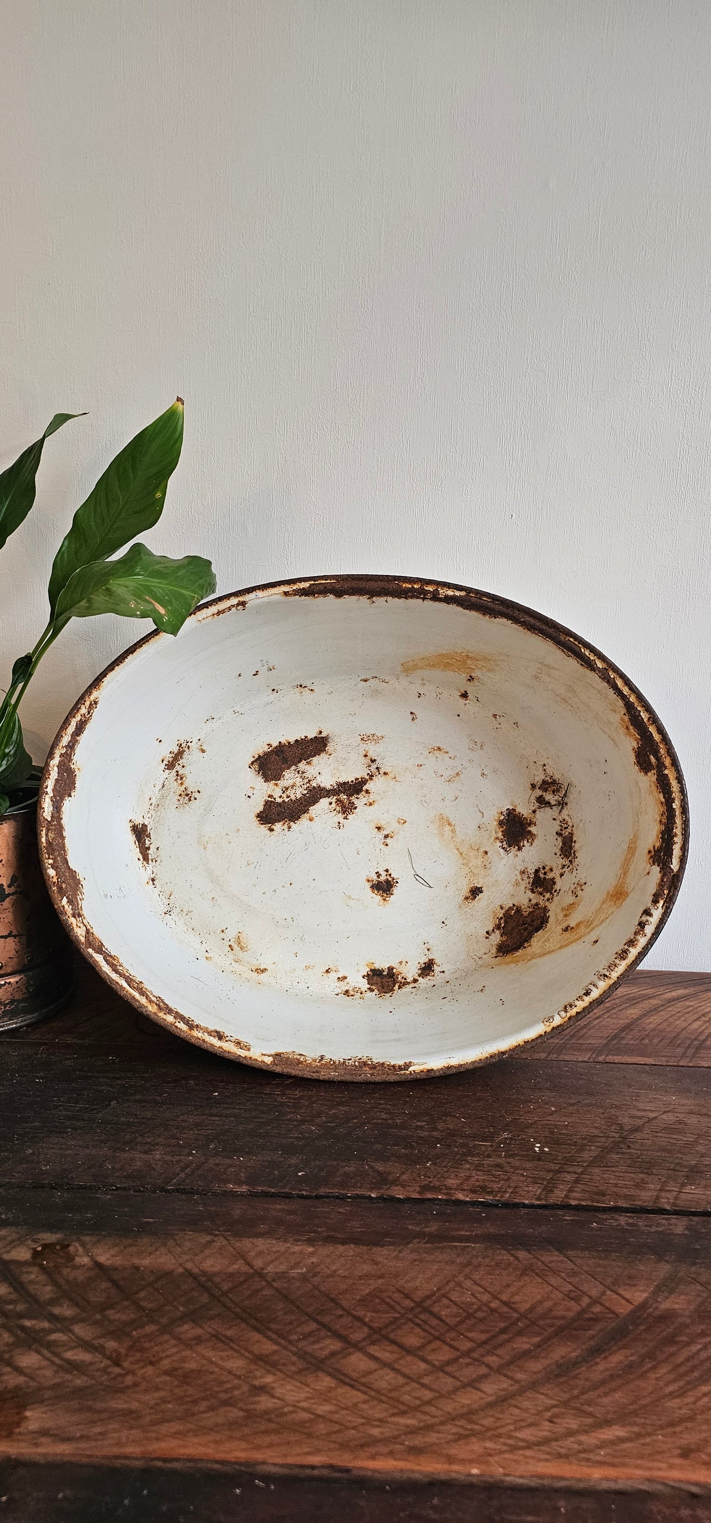 Enamel Basin