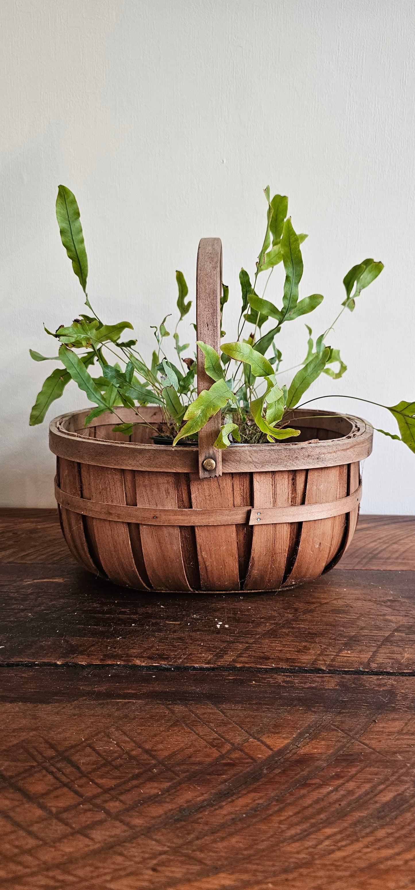 Wooden Trug