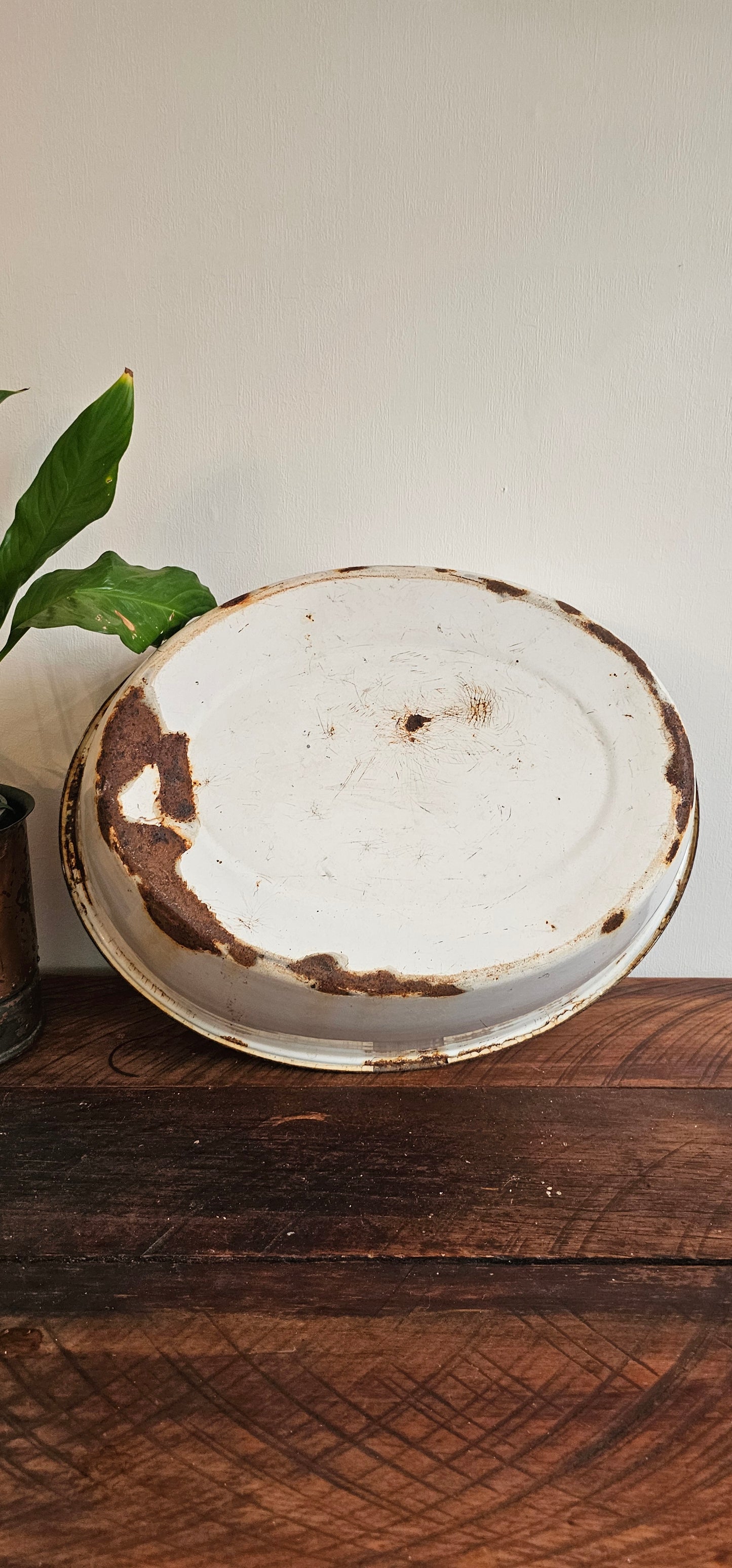 Enamel Basin