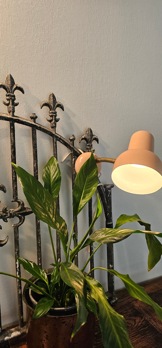 Retro Pink Bed Lamp